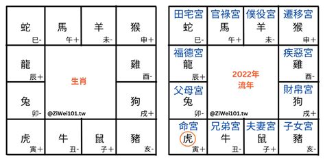 六合生肖圖|斗數基礎：宮位六合